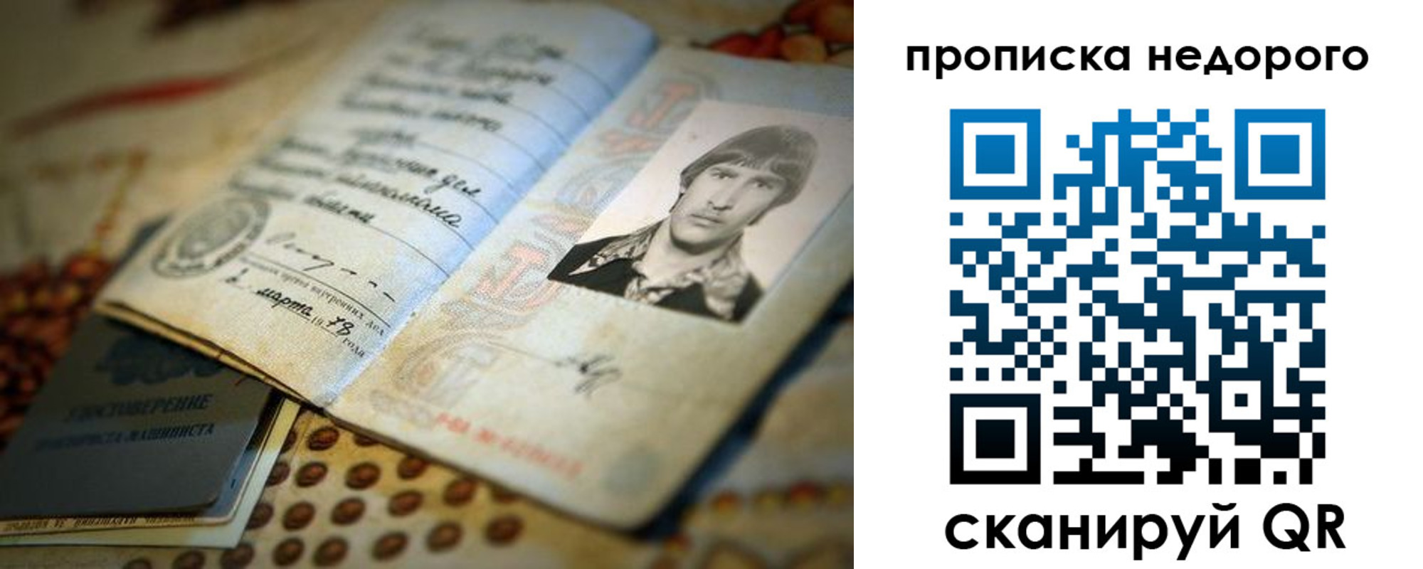 временная регистрация гарантия в Тайге